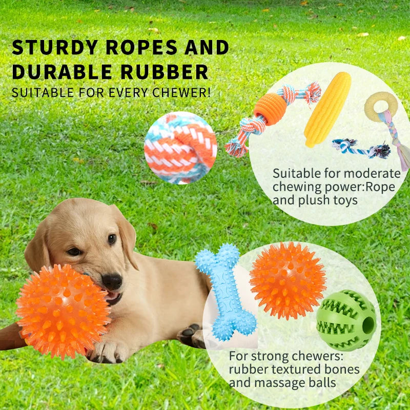 18-Piece Dog Toy Pack – Chew, Squeak, Food Dispensers & Interactive Toys