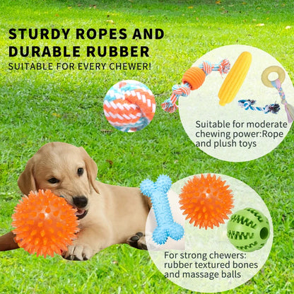 18-Piece Dog Toy Pack – Chew, Squeak, Food Dispensers & Interactive Toys