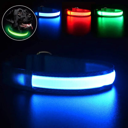 Pet Dog LED Glowing Collar – USB Rechargeable Night Light, Luminous Flashing Necklace, Anti-Lost Outdoor Walking Safety Accessory