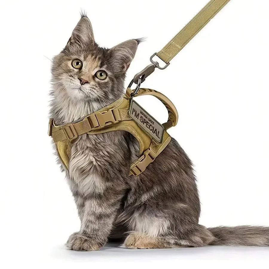 Outdoor Waterproof Cat Vest – Adjustable Harness for Walking Cats