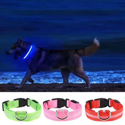 Pet Dog LED Glowing Collar – USB Rechargeable Night Light, Luminous Flashing Necklace, Anti-Lost Outdoor Walking Safety Accessory