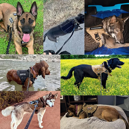Tactical Dog Harness, Leash & Collar Set – For German Shepherd, Malinois & Large Breeds