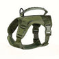 Outdoor Waterproof Cat Vest – Adjustable Harness for Walking Cats
