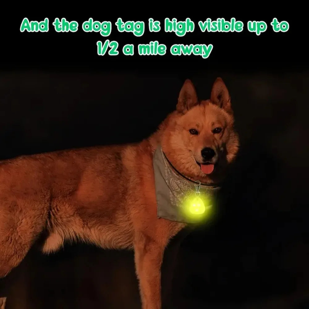 LED Pet Pendant Collar – Waterproof Dog Light Tag for Night Safety