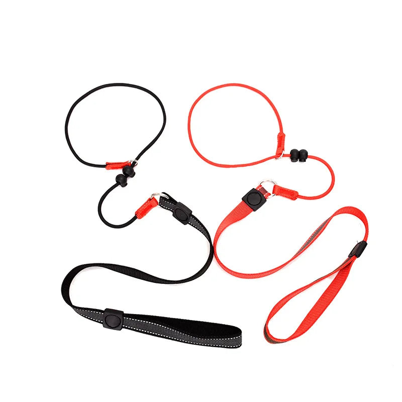 Dog Training Choke Rope Leash – 2-in-1 Slip Lead & Collar, 150cm P-Shape Control Leash for Small to Large Dogs