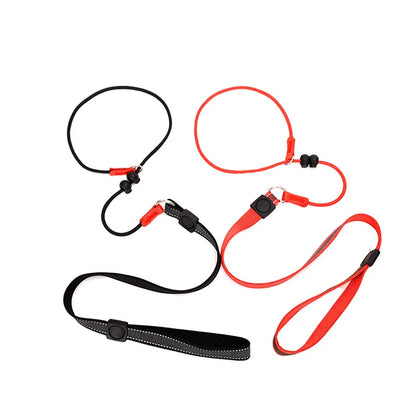 Dog Training Choke Rope Leash – 2-in-1 Slip Lead & Collar, 150cm P-Shape Control Leash for Small to Large Dogs