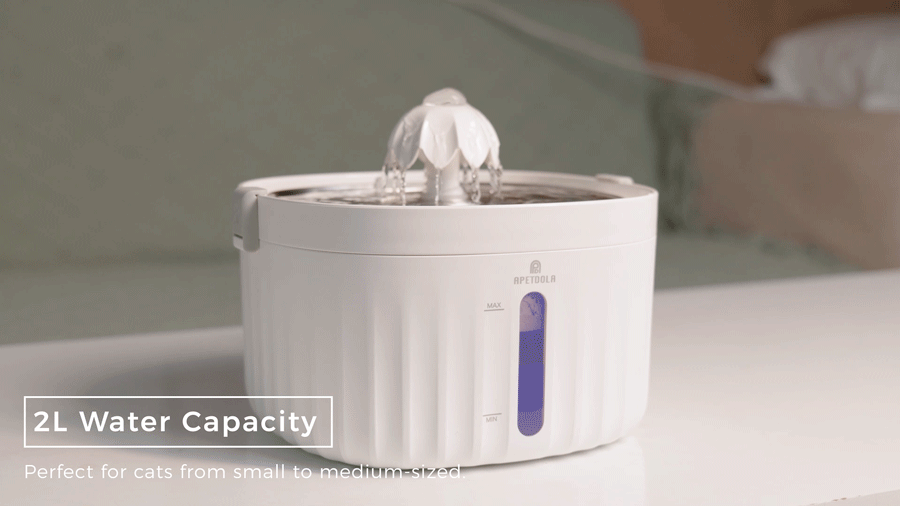 APETDOLA Automatic Cat Water Fountain – 2.1L Smart Pet Water Dispenser with Stainless Steel Tray, 6-Level Filtration, Ultra Quiet for Cats and Dogs