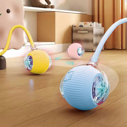 USB Rechargeable Automatic Rolling Ball for Cats – Funny Indoor Pet Toy
