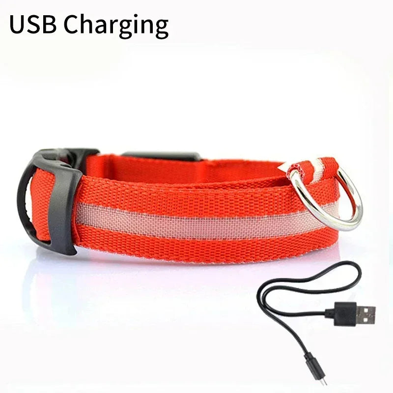Pet Dog LED Glowing Collar – USB Rechargeable Night Light, Luminous Flashing Necklace, Anti-Lost Outdoor Walking Safety Accessory