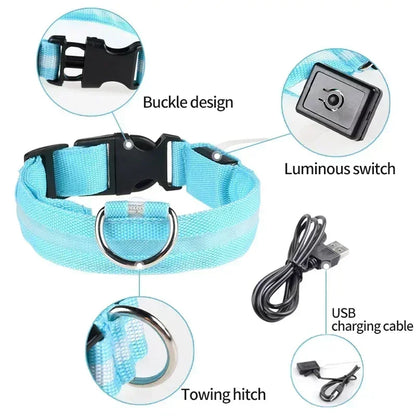 Pet Dog LED Glowing Collar – USB Rechargeable Night Light, Luminous Flashing Necklace, Anti-Lost Outdoor Walking Safety Accessory