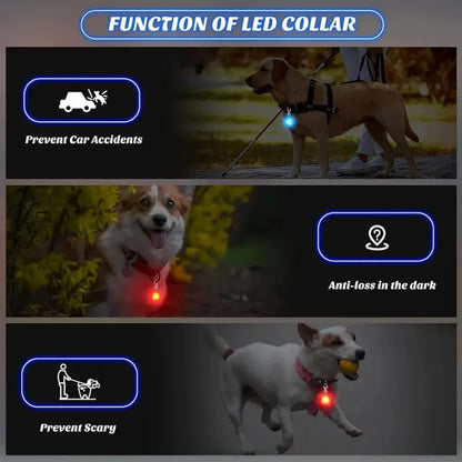 LED Pet Pendant Collar – Waterproof Dog Light Tag for Night Safety
