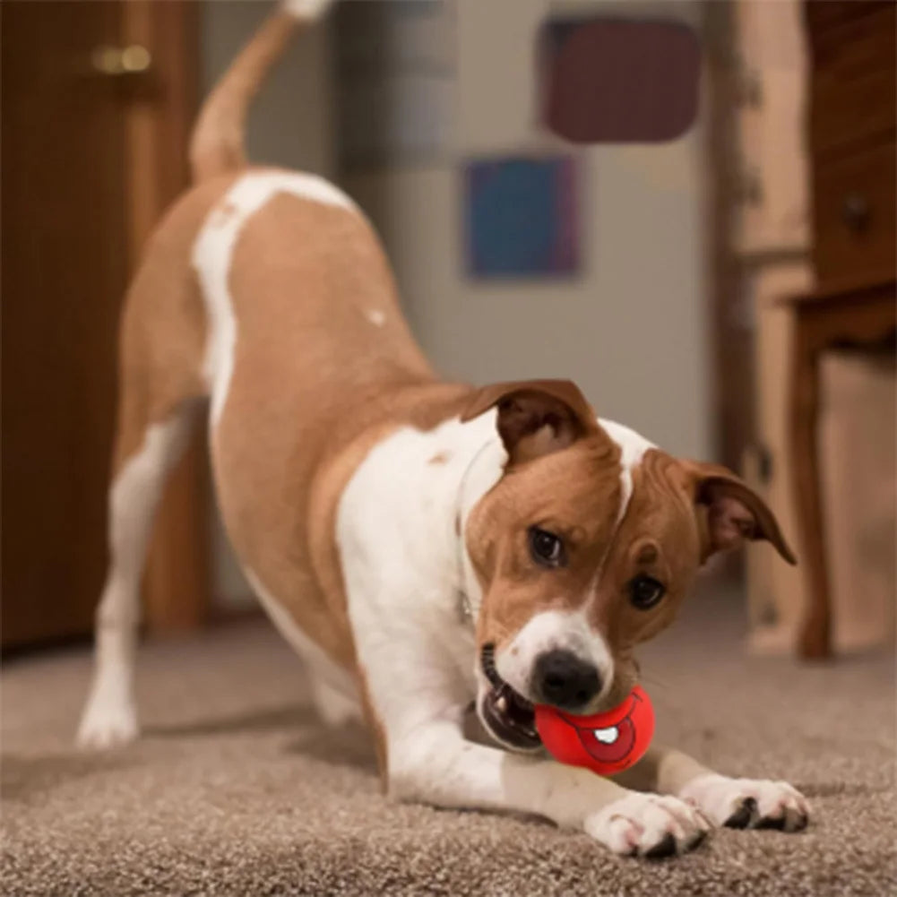 6-Pack Smile Face Squeaky Dog Balls – Soft Latex Interactive Toys for Small & Medium Dogs