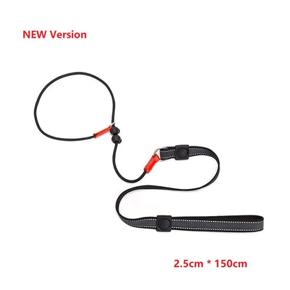 Dog Training Choke Rope Leash – 2-in-1 Slip Lead & Collar, 150cm P-Shape Control Leash for Small to Large Dogs