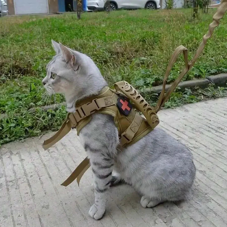 Outdoor Waterproof Cat Vest – Adjustable Harness for Walking Cats