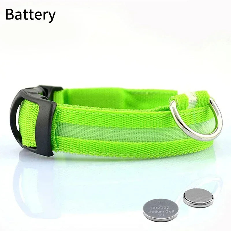 Pet Dog LED Glowing Collar – USB Rechargeable Night Light, Luminous Flashing Necklace, Anti-Lost Outdoor Walking Safety Accessory