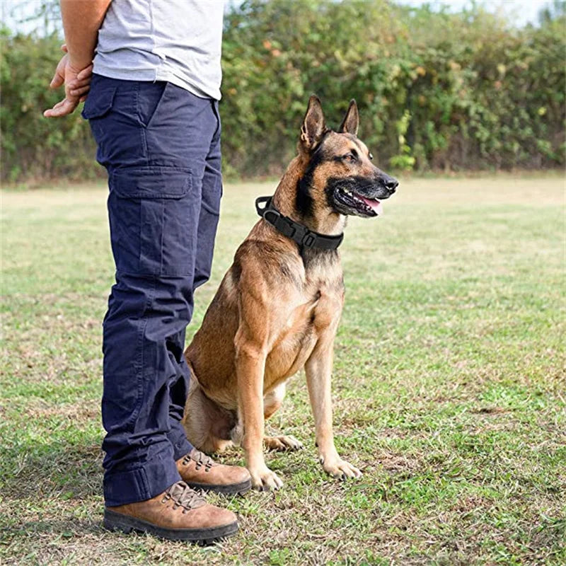 Durable Tactical Dog Collar & Leash Set – For Medium & Large Dogs