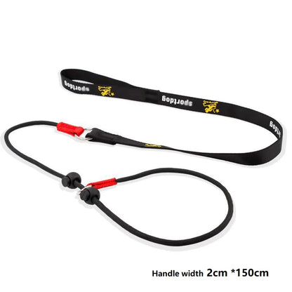 Dog Training Choke Rope Leash – 2-in-1 Slip Lead & Collar, 150cm P-Shape Control Leash for Small to Large Dogs