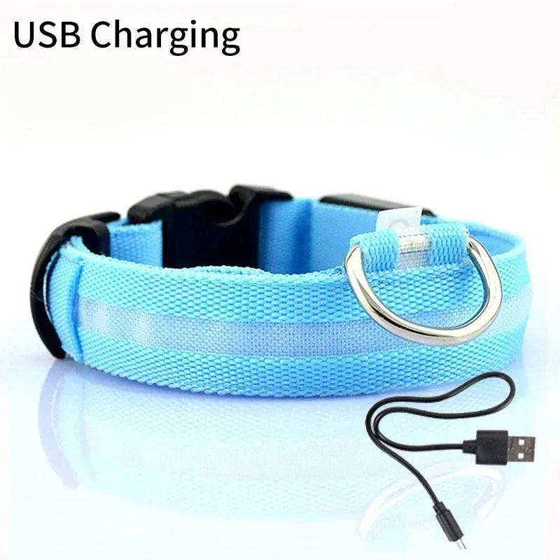 Pet Dog LED Glowing Collar – USB Rechargeable Night Light, Luminous Flashing Necklace, Anti-Lost Outdoor Walking Safety Accessory