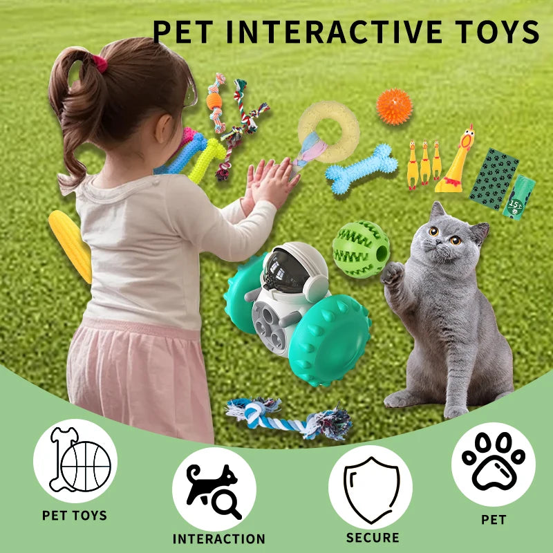 18-Piece Dog Toy Pack – Chew, Squeak, Food Dispensers & Interactive Toys