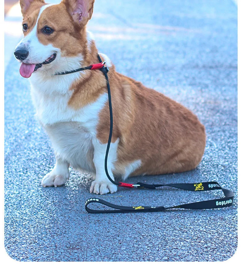 Dog Training Choke Rope Leash – 2-in-1 Slip Lead & Collar, 150cm P-Shape Control Leash for Small to Large Dogs