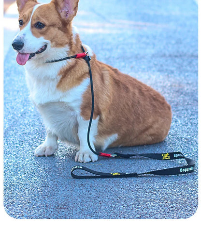Dog Training Choke Rope Leash – 2-in-1 Slip Lead & Collar, 150cm P-Shape Control Leash for Small to Large Dogs
