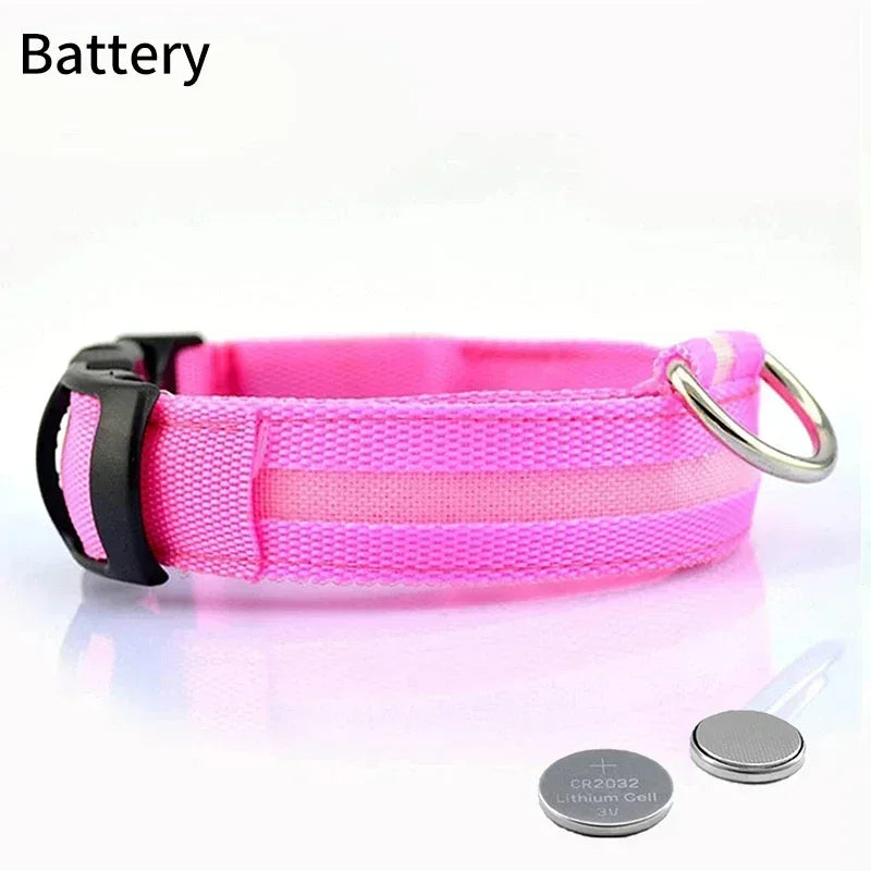 Pet Dog LED Glowing Collar – USB Rechargeable Night Light, Luminous Flashing Necklace, Anti-Lost Outdoor Walking Safety Accessory