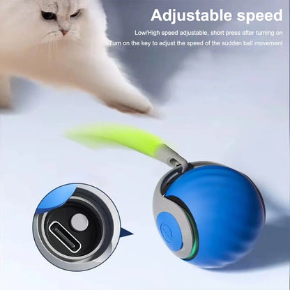 Automatic Moving Cat Toy Ball – USB Rechargeable Interactive Smart Ball with Speedy Tail