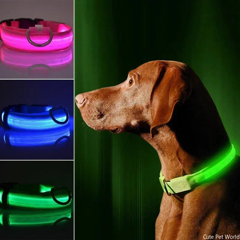 Pet Dog LED Glowing Collar – USB Rechargeable Night Light, Luminous Flashing Necklace, Anti-Lost Outdoor Walking Safety Accessory