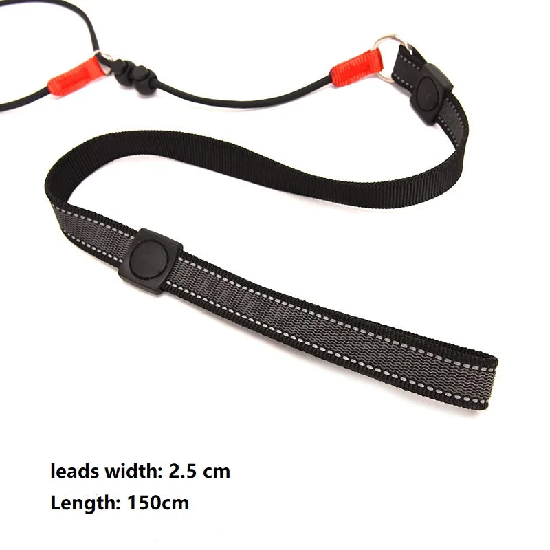 Dog Training Choke Rope Leash – 2-in-1 Slip Lead & Collar, 150cm P-Shape Control Leash for Small to Large Dogs