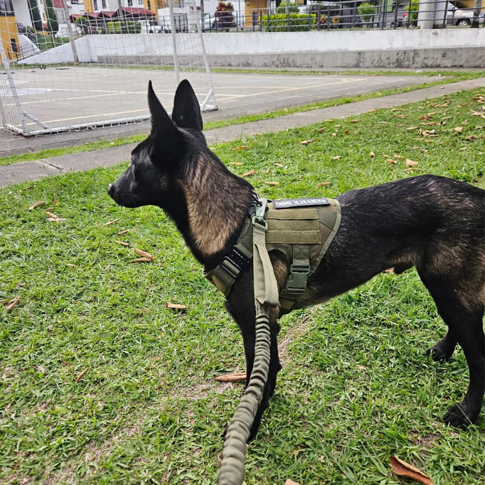 Tactical Dog Harness, Leash & Collar Set – For German Shepherd, Malinois & Large Breeds
