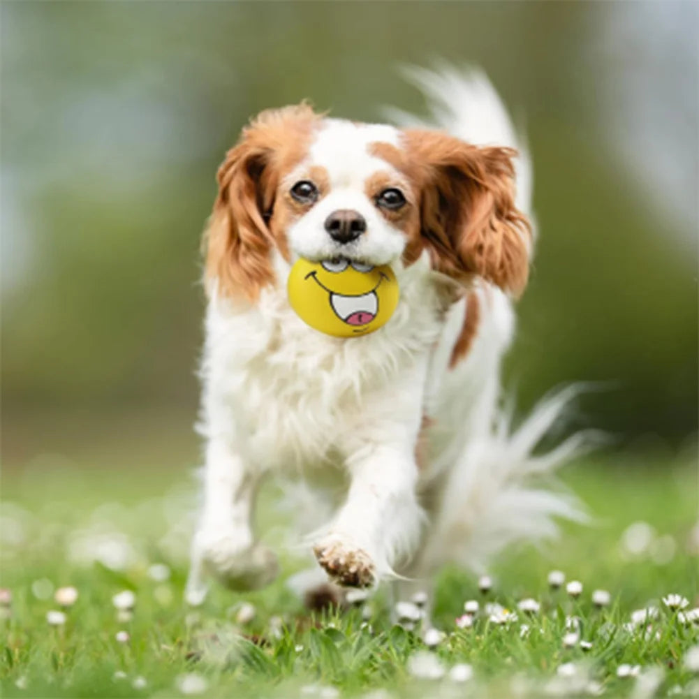 6-Pack Smile Face Squeaky Dog Balls – Soft Latex Interactive Toys for Small & Medium Dogs