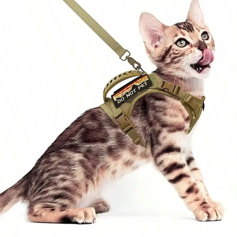Outdoor Waterproof Cat Vest – Adjustable Harness for Walking Cats