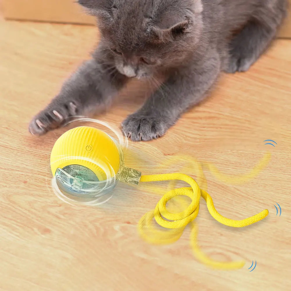 USB Rechargeable Automatic Rolling Ball for Cats – Funny Indoor Pet Toy