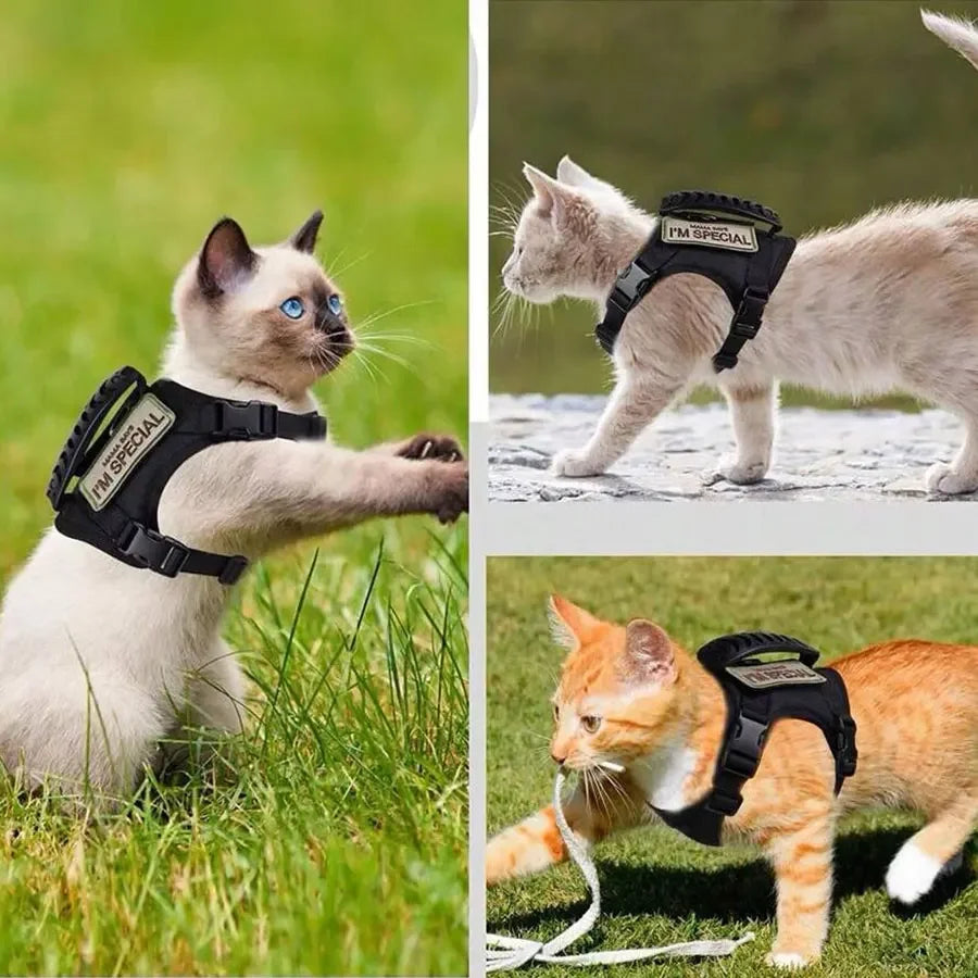 Outdoor Waterproof Cat Vest – Adjustable Harness for Walking Cats