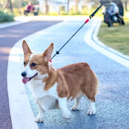 Dog Training Choke Rope Leash – 2-in-1 Slip Lead & Collar, 150cm P-Shape Control Leash for Small to Large Dogs