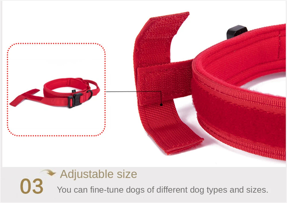 Durable Tactical Dog Collar & Leash Set – For Medium & Large Dogs