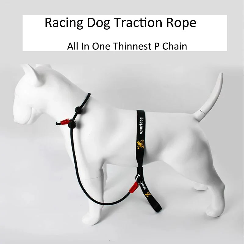 Dog Training Choke Rope Leash – 2-in-1 Slip Lead & Collar, 150cm P-Shape Control Leash for Small to Large Dogs