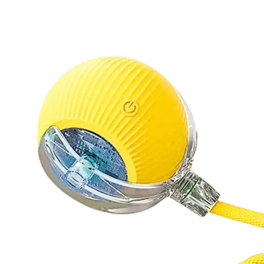 USB Rechargeable Automatic Rolling Ball for Cats – Funny Indoor Pet Toy