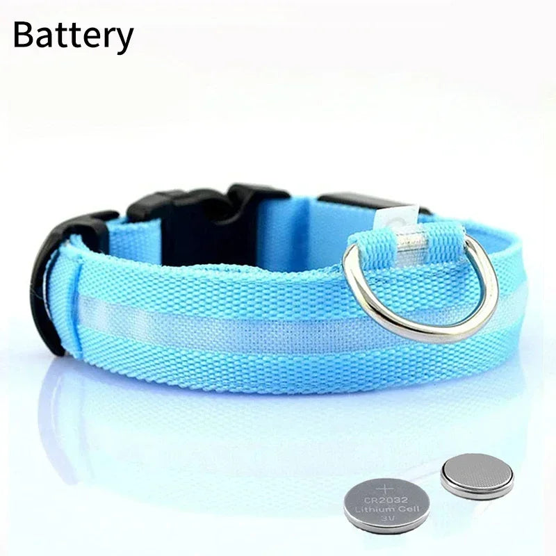 Pet Dog LED Glowing Collar – USB Rechargeable Night Light, Luminous Flashing Necklace, Anti-Lost Outdoor Walking Safety Accessory
