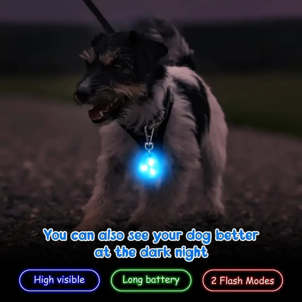 LED Pet Pendant Collar – Waterproof Dog Light Tag for Night Safety