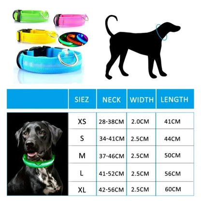 Pet Dog LED Glowing Collar – USB Rechargeable Night Light, Luminous Flashing Necklace, Anti-Lost Outdoor Walking Safety Accessory