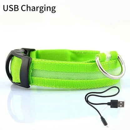 Pet Dog LED Glowing Collar – USB Rechargeable Night Light, Luminous Flashing Necklace, Anti-Lost Outdoor Walking Safety Accessory