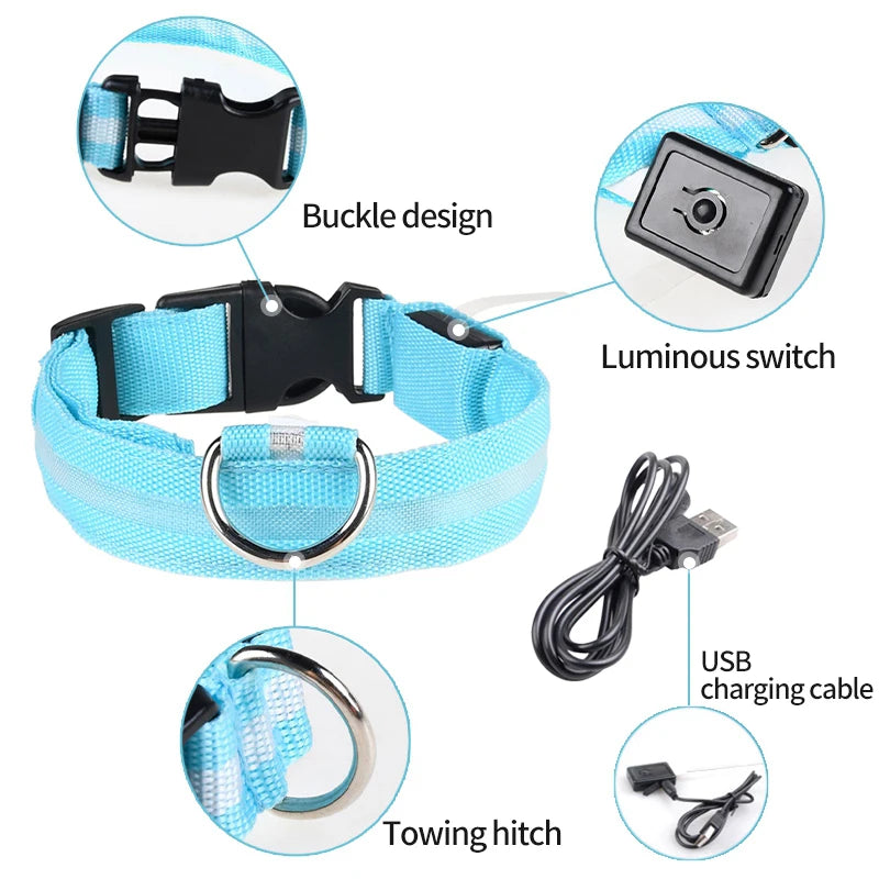 Pet Dog LED Glowing Collar – USB Rechargeable Night Light, Luminous Flashing Necklace, Anti-Lost Outdoor Walking Safety Accessory