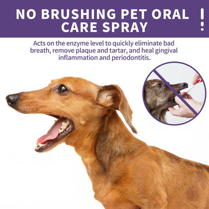 50ml Pet Oral Cleanse Spray for Dogs & Cats – Bad Breath Eliminator, Plaque & Tartar Remover, Natural Dental Care