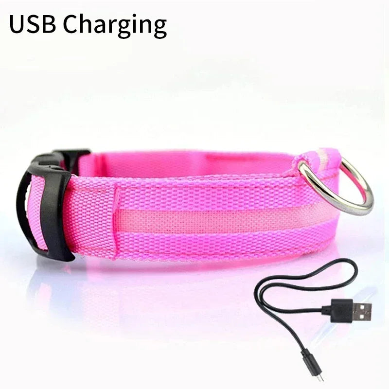 Pet Dog LED Glowing Collar – USB Rechargeable Night Light, Luminous Flashing Necklace, Anti-Lost Outdoor Walking Safety Accessory