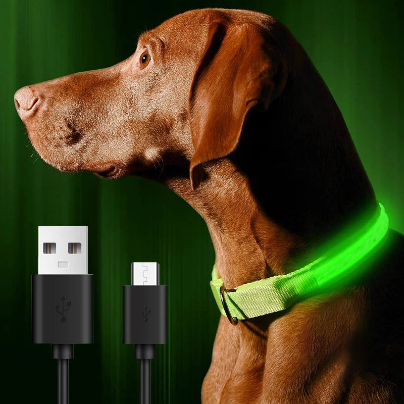 Pet Dog LED Glowing Collar – USB Rechargeable Night Light, Luminous Flashing Necklace, Anti-Lost Outdoor Walking Safety Accessory