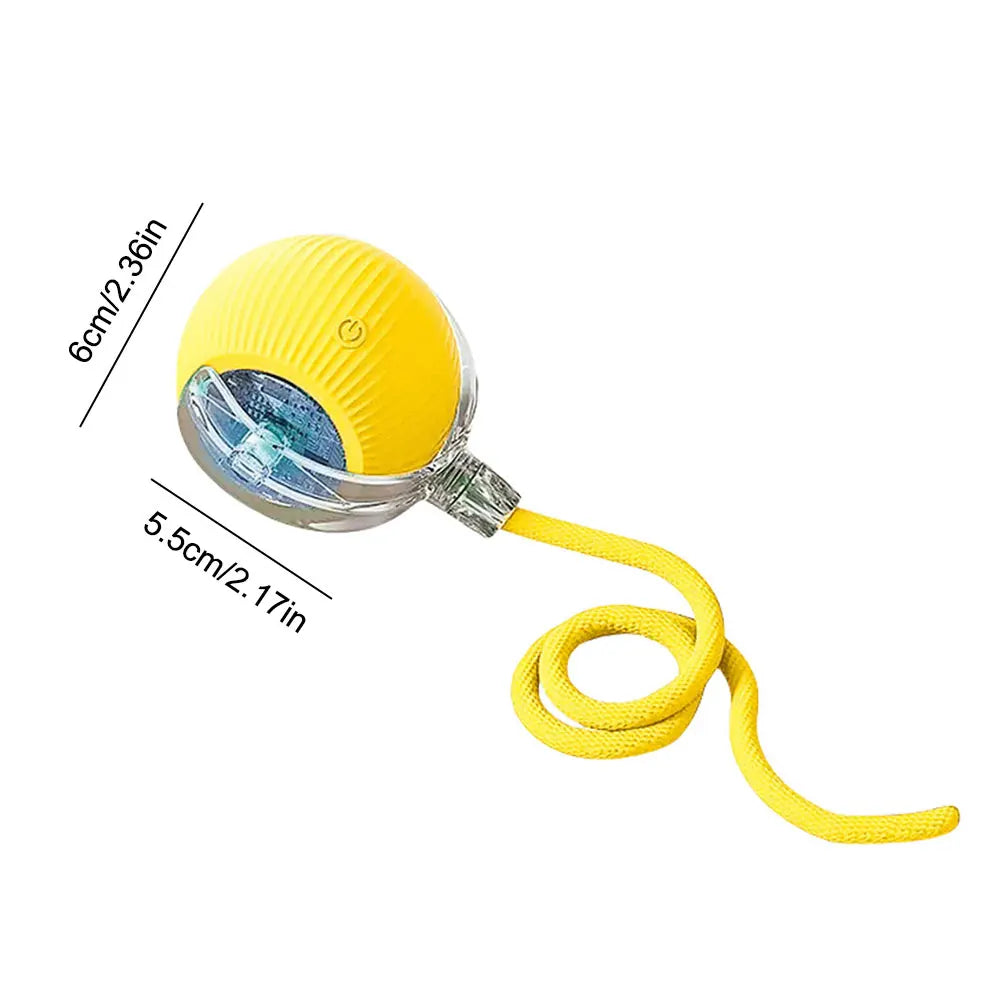 USB Rechargeable Automatic Rolling Ball for Cats – Funny Indoor Pet Toy