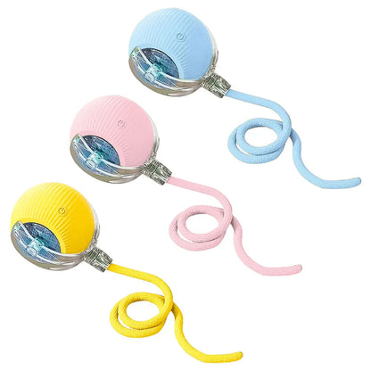 USB Rechargeable Automatic Rolling Ball for Cats – Funny Indoor Pet Toy