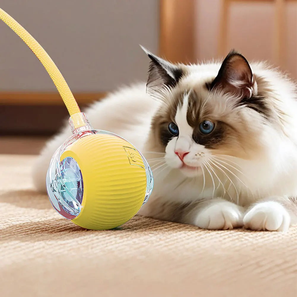 USB Rechargeable Automatic Rolling Ball for Cats – Funny Indoor Pet Toy
