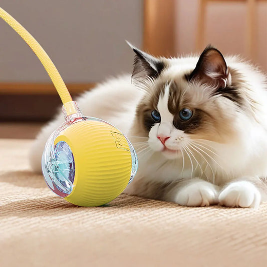 USB Rechargeable Automatic Rolling Ball for Cats – Funny Indoor Pet Toy